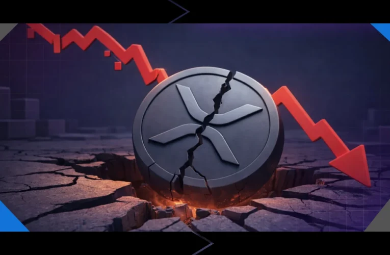 XRP Preis heute 1,44 $ – Warum XRP 2026 gefallen ist: Marktanalyse und Schlüsselfaktoren